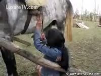 Animal Video - Beautiful Brunette Sucks a Horse&#039;s Dick